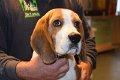 Afb_20171112_fritz (5)